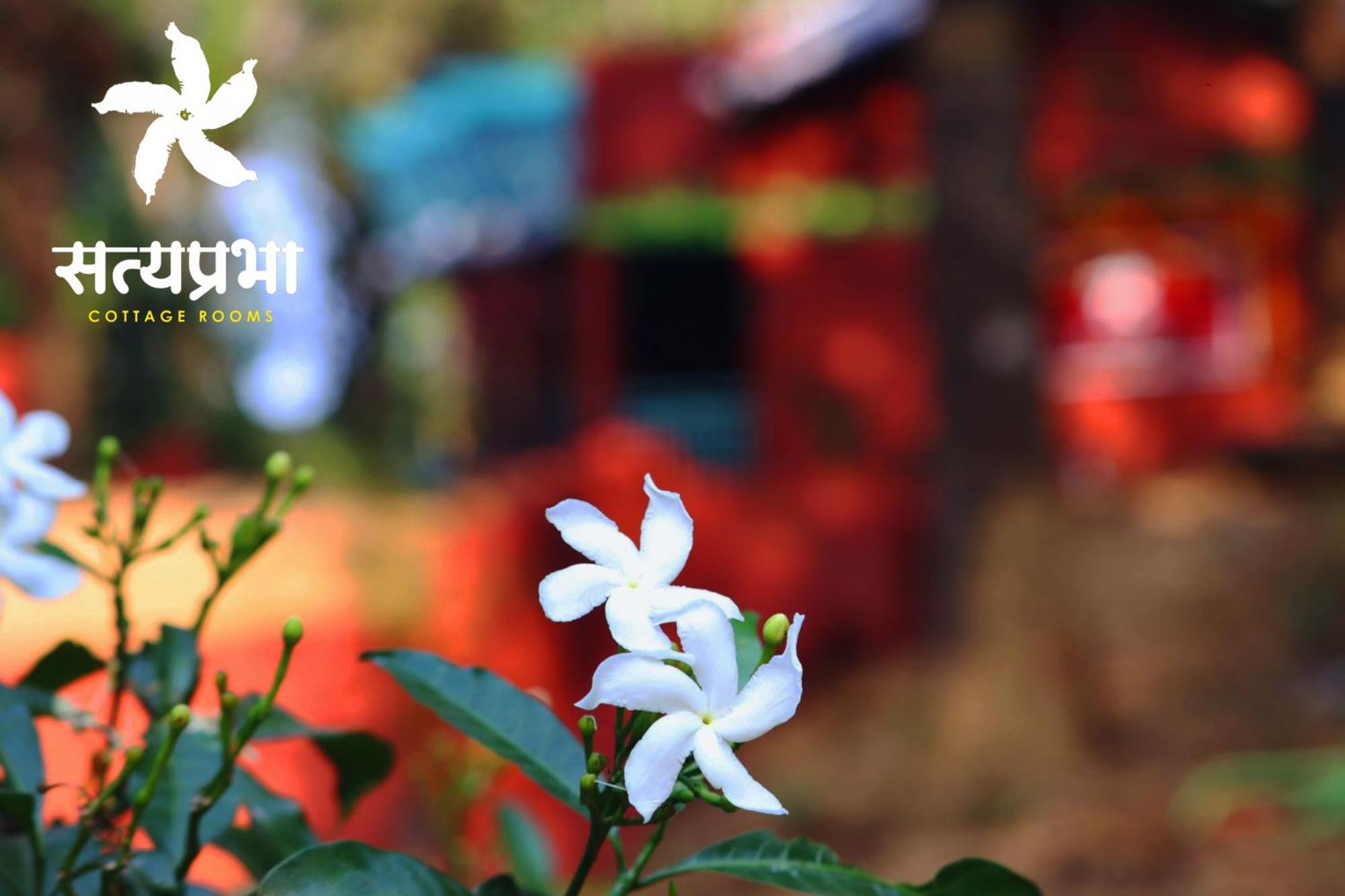 Satyaprabha Cottage Rooms Kudal  エクステリア 写真